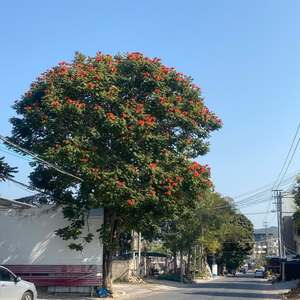 让我最后一次亲吻你