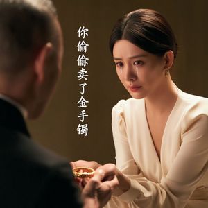 你偷偷卖了金手镯