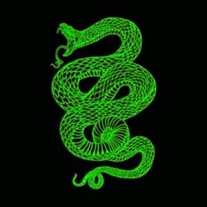 花拳绣腿Master02