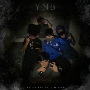 Ynb