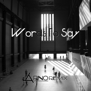 The Arrows - Words To Say(Arno Remix)