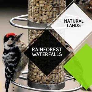 Lightening and Thunder