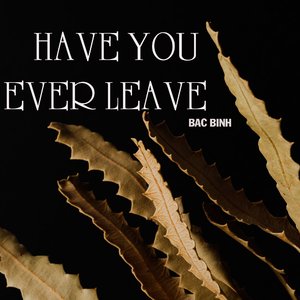 Have You Ever Leave