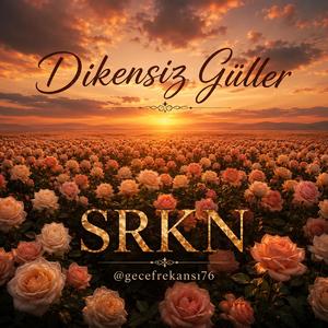 Dİkensiz Güller