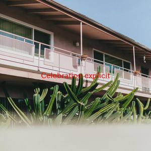 Celebration (explicit) (Tribute version originally performed by The Game feat. Chris Brown, Tyga, Wiz Khalifa and Lil Wayne)