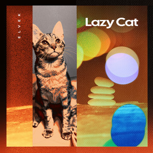 Lazy Cat
