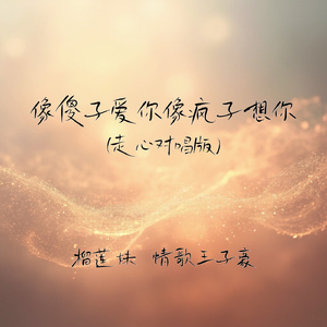 像傻子爱你像疯子想你(走心对唱版)