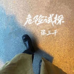 危险试探
