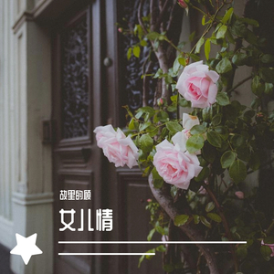 女儿情（翻自 林俊杰）