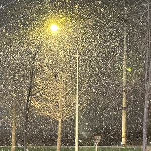 自是人生长恨水长东