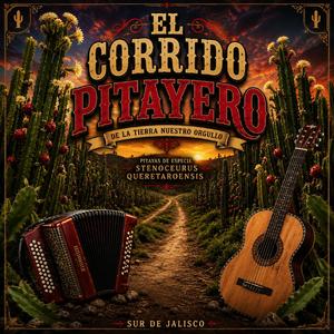 El corrido pitayero