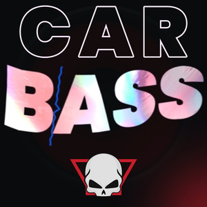 Car Bass