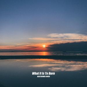 What It Is To Burn Cover (Acoustic)