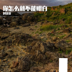 你怎么就不能明白