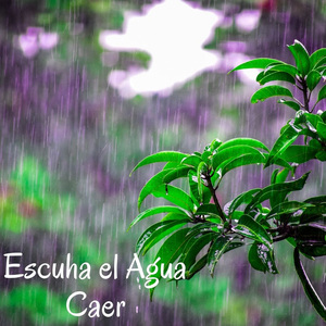 Lluvias Traquilas.