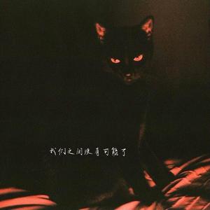 我们之间没有可能了:(