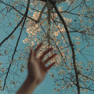 【FREE】Story-Juice Wrld x Toosii Type Beat