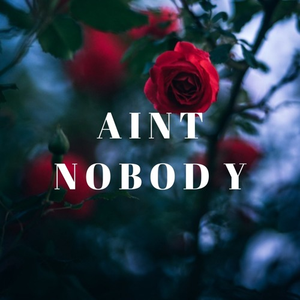 Ain't Nobody Gonna Love You The Way I Do