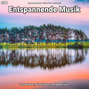 Entspannende Musik, Pt. 49