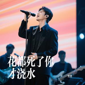 花都死了你才浇水