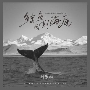 鲸鱼回到海底