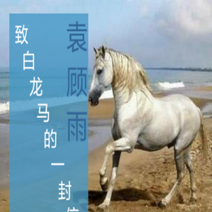 写给白龙马的一封信