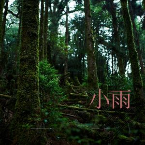 午后时光 (扬琴)