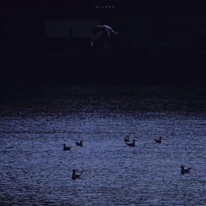 漠河舞厅（女生版）