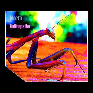 Vivre libres ou mourir la tête dans le caniveau