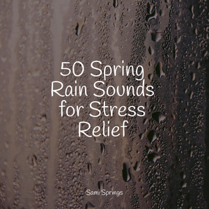 Forest, Animals, Cicadas