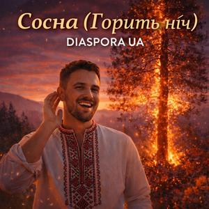 Сосна (Горить Ніч)