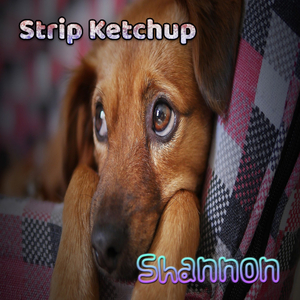 Shannon