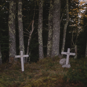 Don't Tell Me How To Die (feat. Bookburner!)