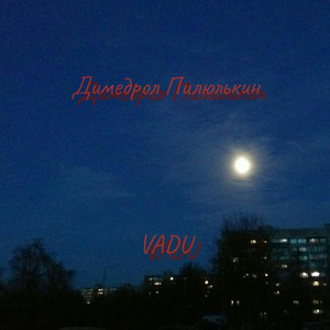 VADU (prod. by strawberries)