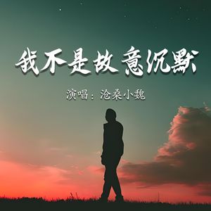 我不是故意沉默