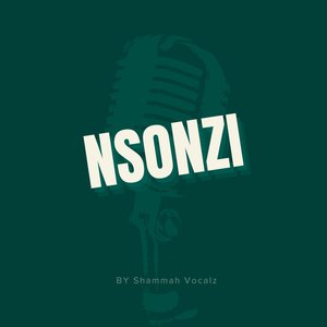 Nsonzi