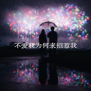 不爱我为何要来招惹我