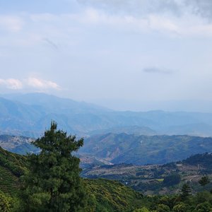 长夏长