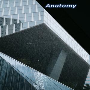 Anatomy (Slow Version)