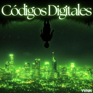 Códigos Digitales