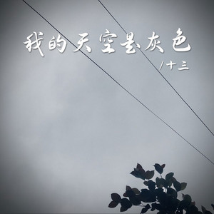 我的天空是灰色