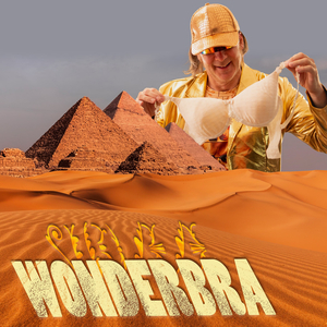 Wonderbra