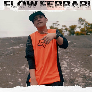 Flow Ferrari