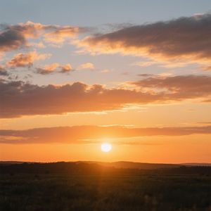 春潮拍旧岸