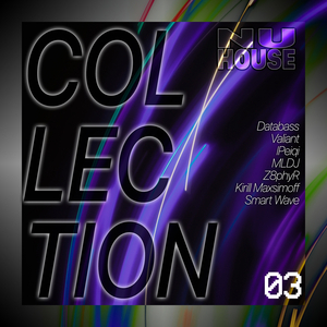 Visare (Databass Remix)