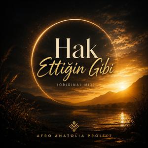 Hak Ettiğin Gibi(Original Mix)