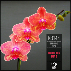 Harmonic Mind (Original Mix)