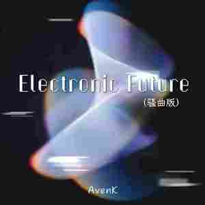 Electronic Future(烧曲版）