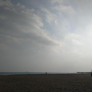 出现又离开（翻自 群星）