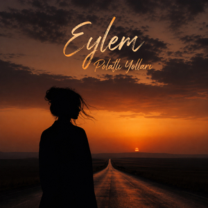 Polatlı Yolları